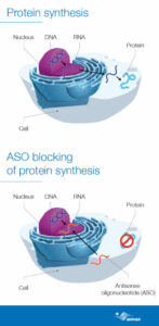 How ASOs have revolutionized the treatment of particularly rare and ...