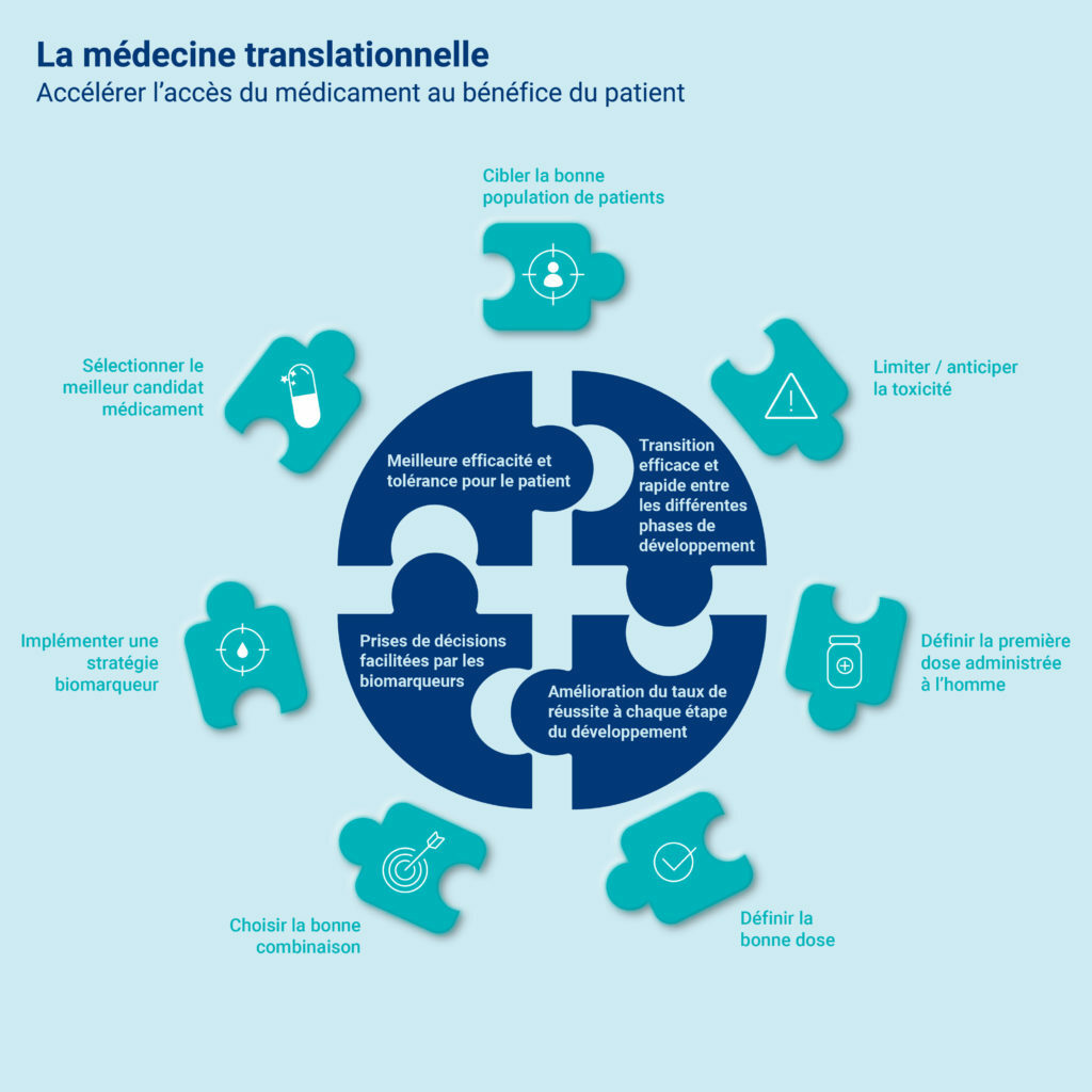 Infographie sur le processus de la médecine translationnelle