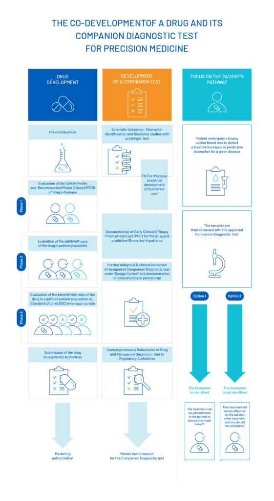 Companion test process