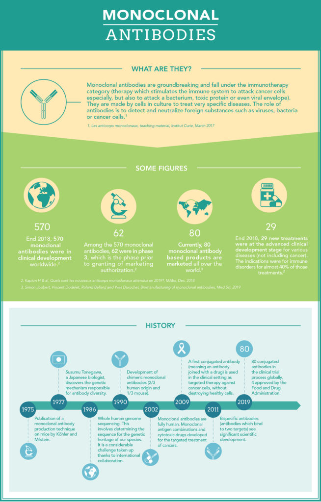 Infographic on monoclonal antibodies