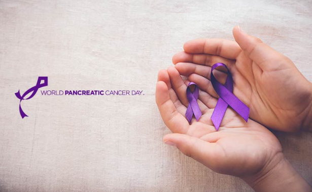 Campaign of the World pancreatic cancer day 2019