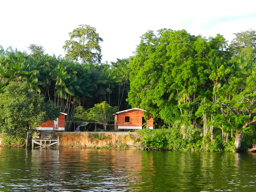 The “Floresta de Portel” reforestation project in Brazil