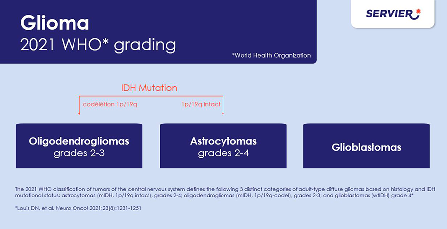 Click on the image to read the description of the WHO 2021 grading infographic.